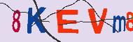 Captcha認証コード